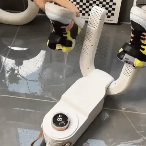 Dry Fresh - Secador de Zapatos
